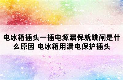 电冰箱插头一插电源漏保就跳闸是什么原因 电冰箱用漏电保护插头